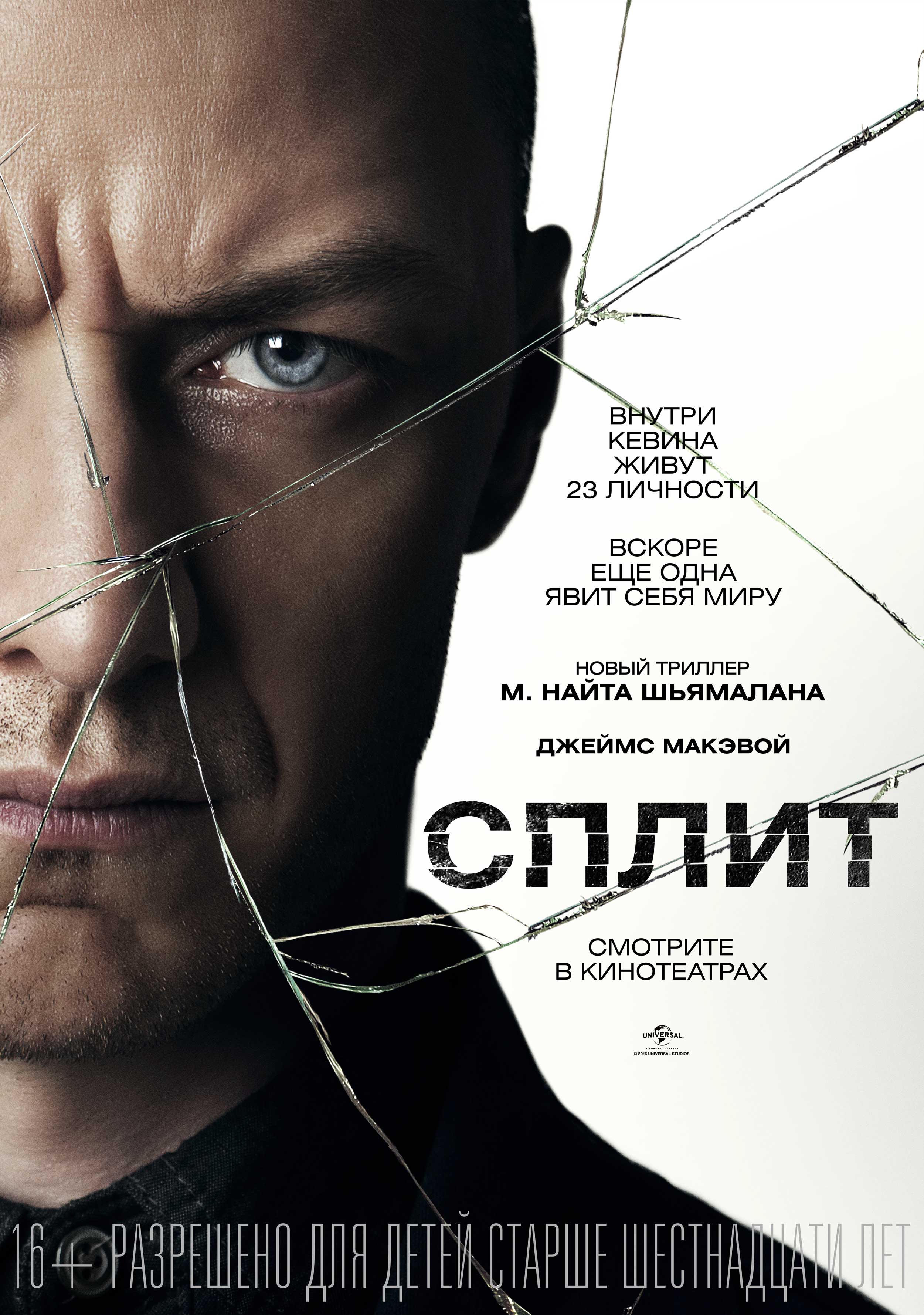 Неадекватность UFC-24.ONLINE - Бодибилдинг форум AnabolicShops