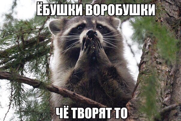 Курилка- разговоры на любые темы - Бодибилдинг форум AnabolicShops