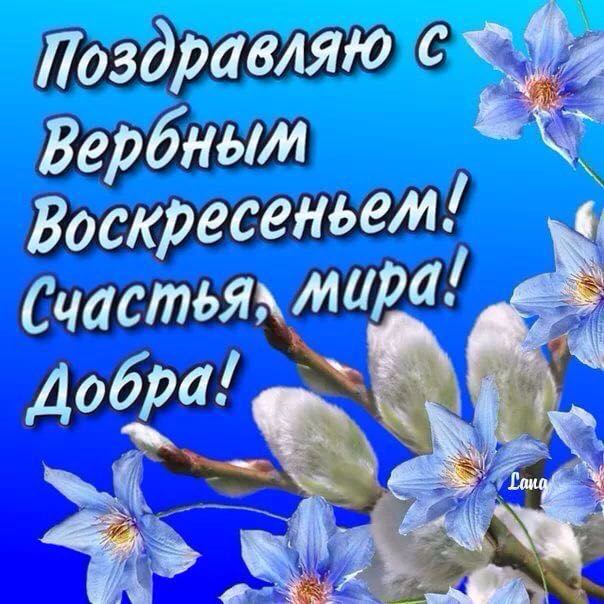Mita-pharma. - Бодибилдинг форум AnabolicShops
