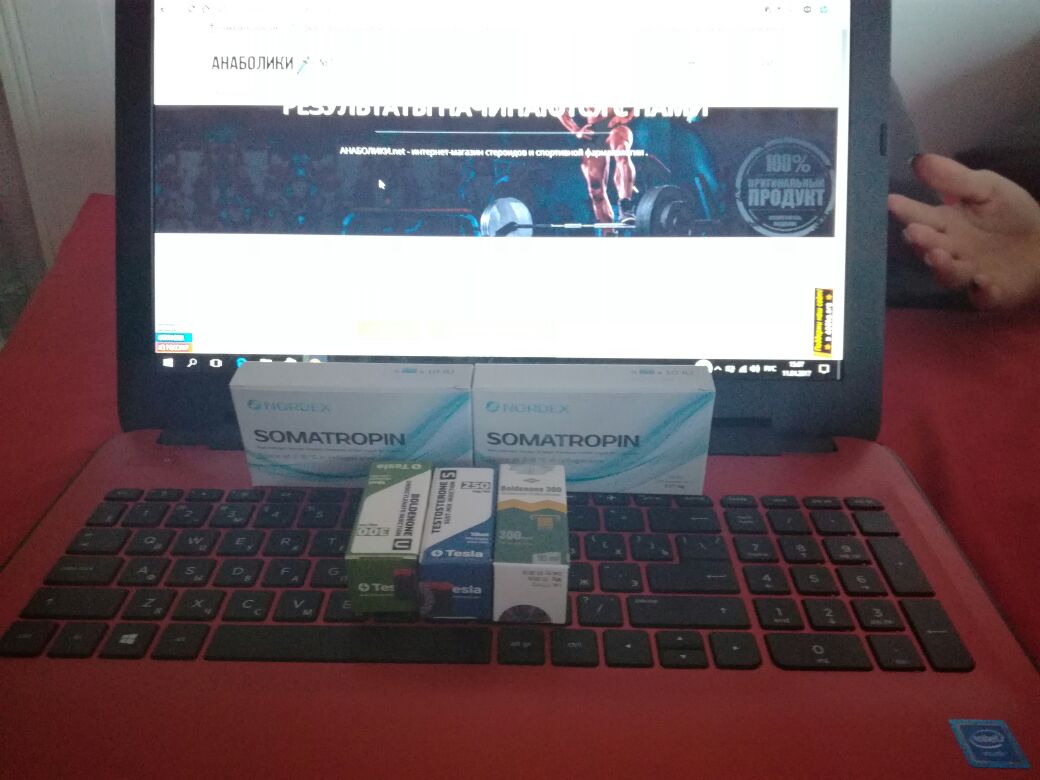 АНАБОЛИКИ.net - оф.дилер SP, Zerox, Genetic, Magnus, Lyka ! - Бодибилдинг форум AnabolicShops