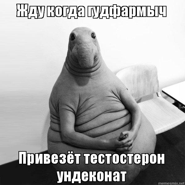 GOODPHARMA.BIZ -  Официальный представитель Vermodje и EPF ! - Бодибилдинг форум AnabolicShops