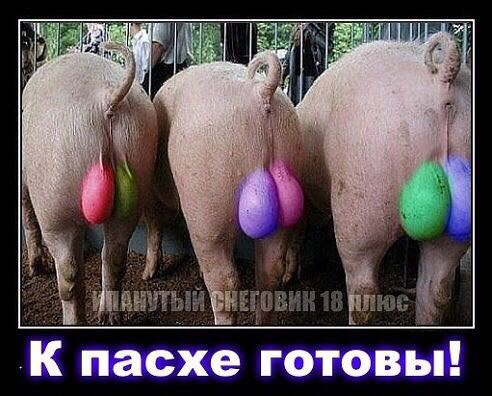 Mita-pharma. - Бодибилдинг форум AnabolicShops
