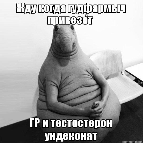 GOODPHARMA.BIZ -  Официальный представитель Vermodje и EPF ! - Бодибилдинг форум AnabolicShops