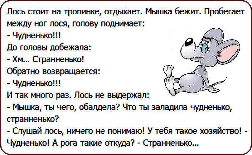 Анекдоты обо всем - Бодибилдинг форум AnabolicShops