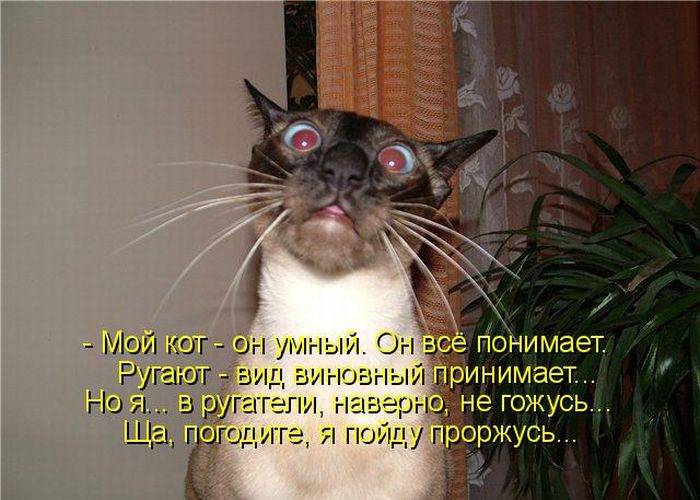 Анекдоты обо всем - Бодибилдинг форум AnabolicShops