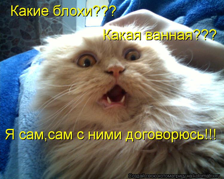 Анекдоты обо всем - Бодибилдинг форум AnabolicShops