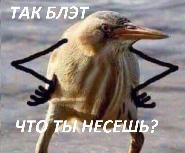 Курс женщине на набор - Бодибилдинг форум AnabolicShops