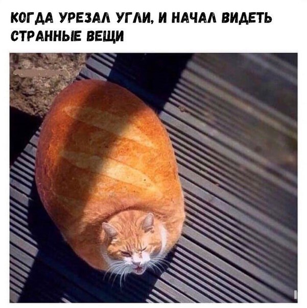 Курилка- разговоры на любые темы - Бодибилдинг форум AnabolicShops