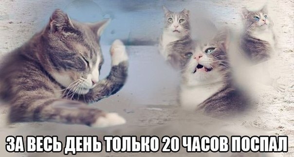 Курилка- разговоры на любые темы - Бодибилдинг форум AnabolicShops