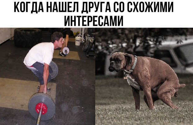 Курилка- разговоры на любые темы - Бодибилдинг форум AnabolicShops