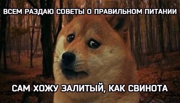 Курилка- разговоры на любые темы - Бодибилдинг форум AnabolicShops