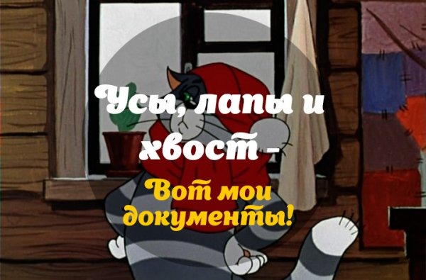Мирный воин. Подготовка к соревнованию по бодибилдингу федерация "UBPF" - Бодибилдинг форум AnabolicShops
