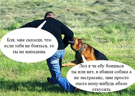 Курилка- разговоры на любые темы - Бодибилдинг форум AnabolicShops