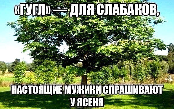 Курилка- разговоры на любые темы - Бодибилдинг форум AnabolicShops