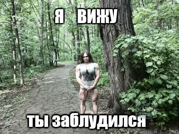 Курилка- разговоры на любые темы - Бодибилдинг форум AnabolicShops