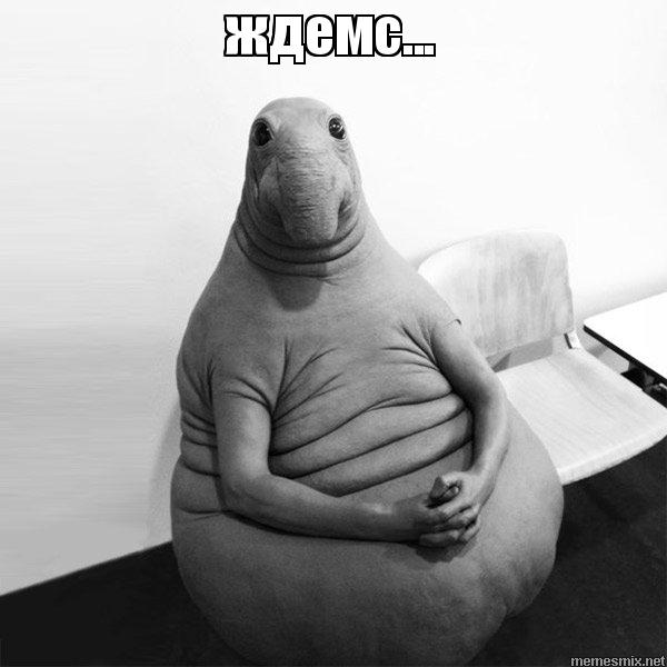Курилка- разговоры на любые темы - Бодибилдинг форум AnabolicShops