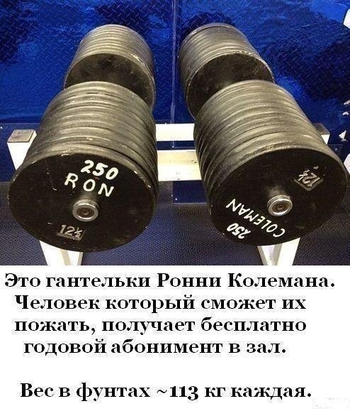 Курилка- разговоры на любые темы - Бодибилдинг форум AnabolicShops