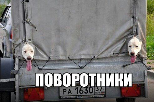 Курилка- разговоры на любые темы - Бодибилдинг форум AnabolicShops