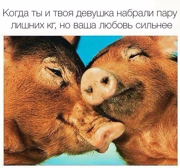 Курилка- разговоры на любые темы - Бодибилдинг форум AnabolicShops