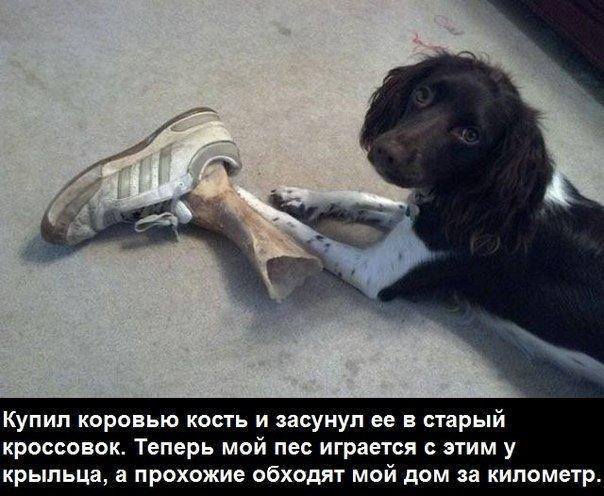 Курилка- разговоры на любые темы - Бодибилдинг форум AnabolicShops
