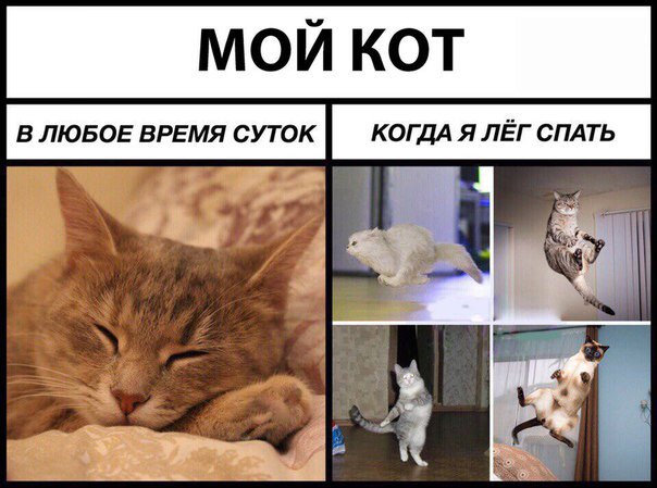 Курилка- разговоры на любые темы - Бодибилдинг форум AnabolicShops