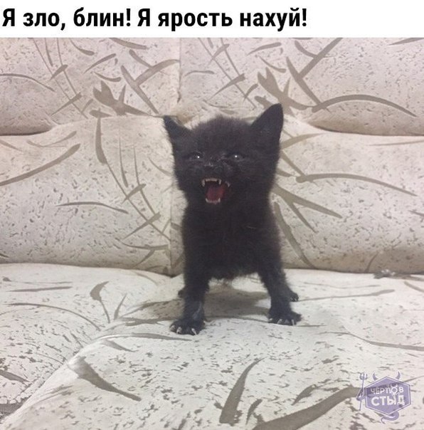 Mita-pharma. - Бодибилдинг форум AnabolicShops