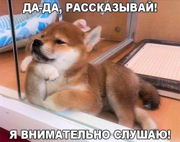 Mita-pharma. - Бодибилдинг форум AnabolicShops