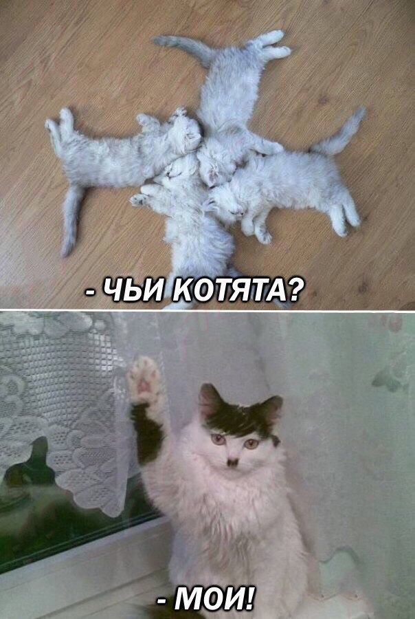 Курилка- разговоры на любые темы - Бодибилдинг форум AnabolicShops