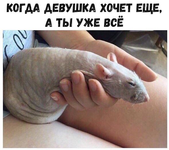 IndiaGenericPower- магазин ПКТ! - Бодибилдинг форум AnabolicShops
