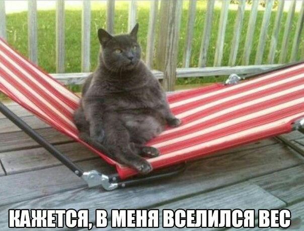 Курилка- разговоры на любые темы - Бодибилдинг форум AnabolicShops