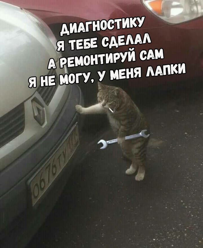 Курилка- разговоры на любые темы - Бодибилдинг форум AnabolicShops