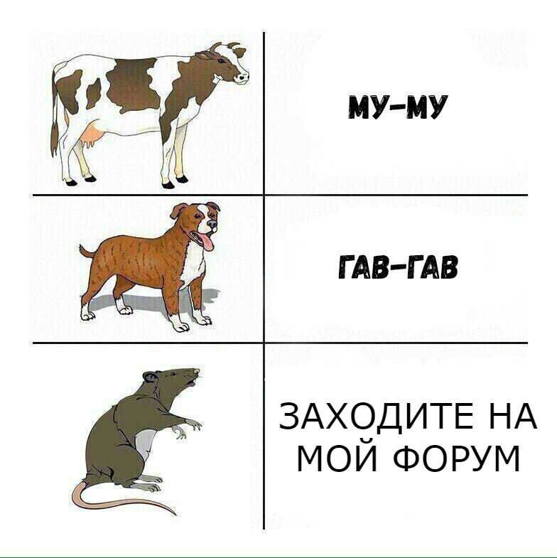 Немного о крысах... - Бодибилдинг форум AnabolicShops