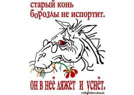 КНБ "да будет мясо и кровища" парни против девченок - Бодибилдинг форум AnabolicShops