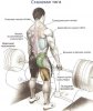 СТАНОВАЯ ТЯГА: ПОДРОБНО - Бодибилдинг форум AnabolicShops