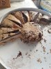 Rost-farma.org — Рф-Рф - Бодибилдинг форум AnabolicShops