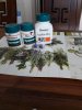 StoreGenerics.ru-Дженерики-все для ПКТ - Бодибилдинг форум AnabolicShops