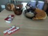 Ardent и Mayskaya - взрывная парочка на сушке - Бодибилдинг форум AnabolicShops
