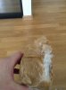 italicafarm.com - Бодибилдинг форум AnabolicShops