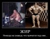 Закрытие  фитнес клубов в Москве - Бодибилдинг форум AnabolicShops
