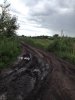 Thomas&Co - Медицинское качество. - Бодибилдинг форум AnabolicShops