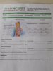 Разбор анализов гормонов, помощь специалиста - Бодибилдинг форум AnabolicShops