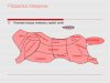 Железный спорт от Бунтарки - Бодибилдинг форум AnabolicShops
