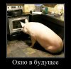 Hilma PRO - с заботой о вашем здоровье! - Бодибилдинг форум AnabolicShops