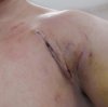 *** Лиса*** - Бодибилдинг форум AnabolicShops