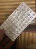 MOLECULA PRO — оригинальная продукция, профессиональный сервис, долгосрочное доверие. - Бодибилдинг форум AnabolicShops