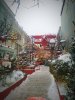 *** Лиса*** - Бодибилдинг форум AnabolicShops
