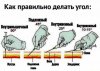 АНАБОЛИКИ.net - оф.дилер SP, Zerox, Genetic, Magnus, Lyka ! - Бодибилдинг форум AnabolicShops