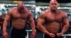 Сено, дорога к кругосветке! - Бодибилдинг форум AnabolicShops