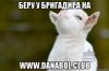 ФОТОКОНКУРС С ПРИЗАМИ ОТ UFC-PHARM -7000руб-5000руб-3000руб- - Бодибилдинг форум AnabolicShops
