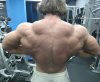 MGT выходит на рынок РФ - Бодибилдинг форум AnabolicShops